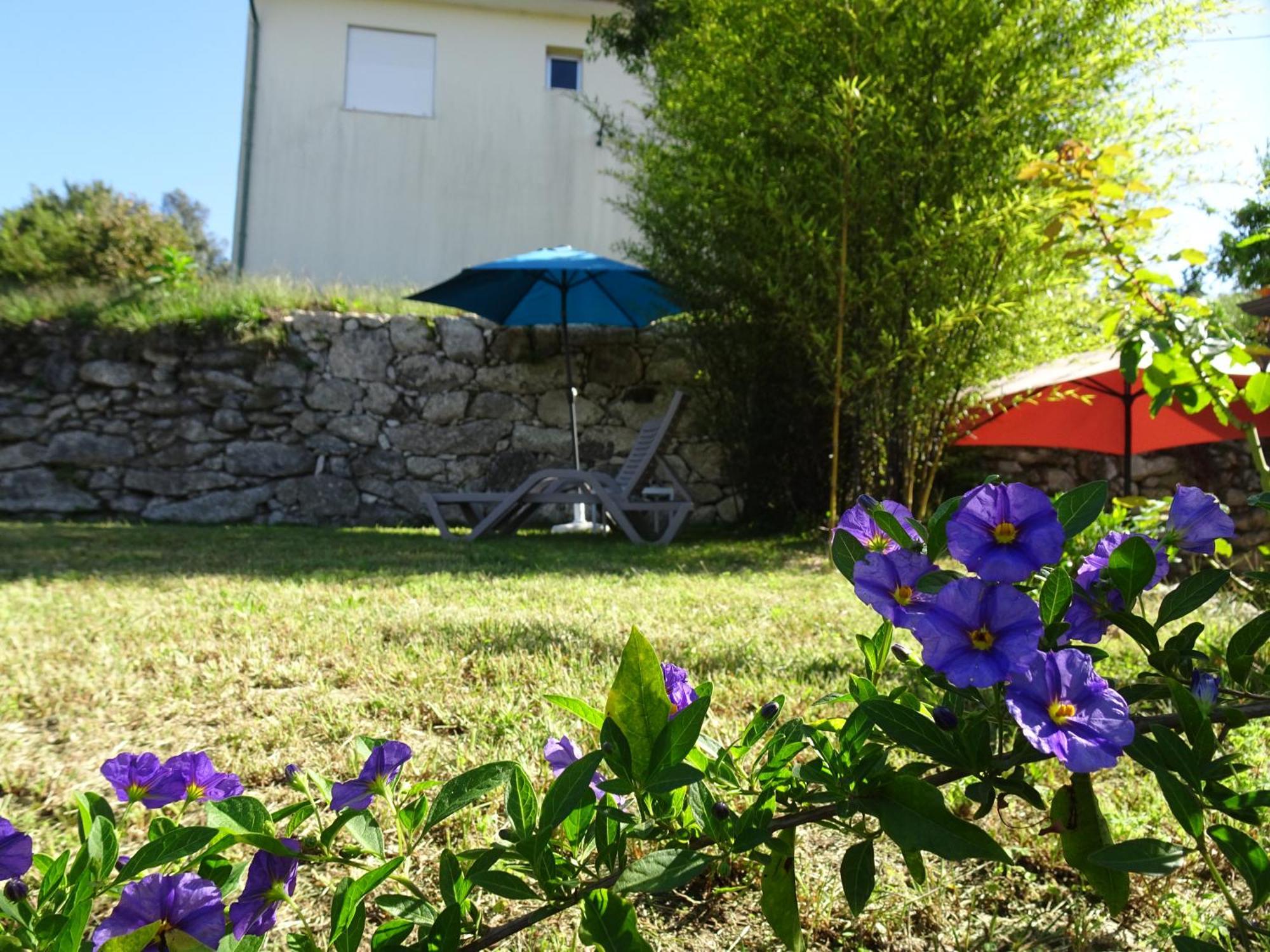 A Casa Com 2 Pereiras Bed & Breakfast Terras de Bouro Eksteriør bilde